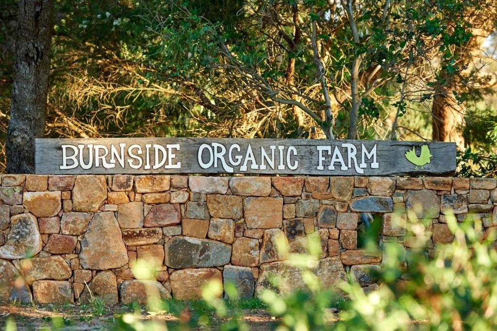 Burnside Organic Farm