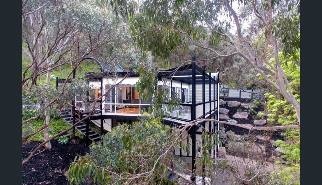 The Treehouse in Belair