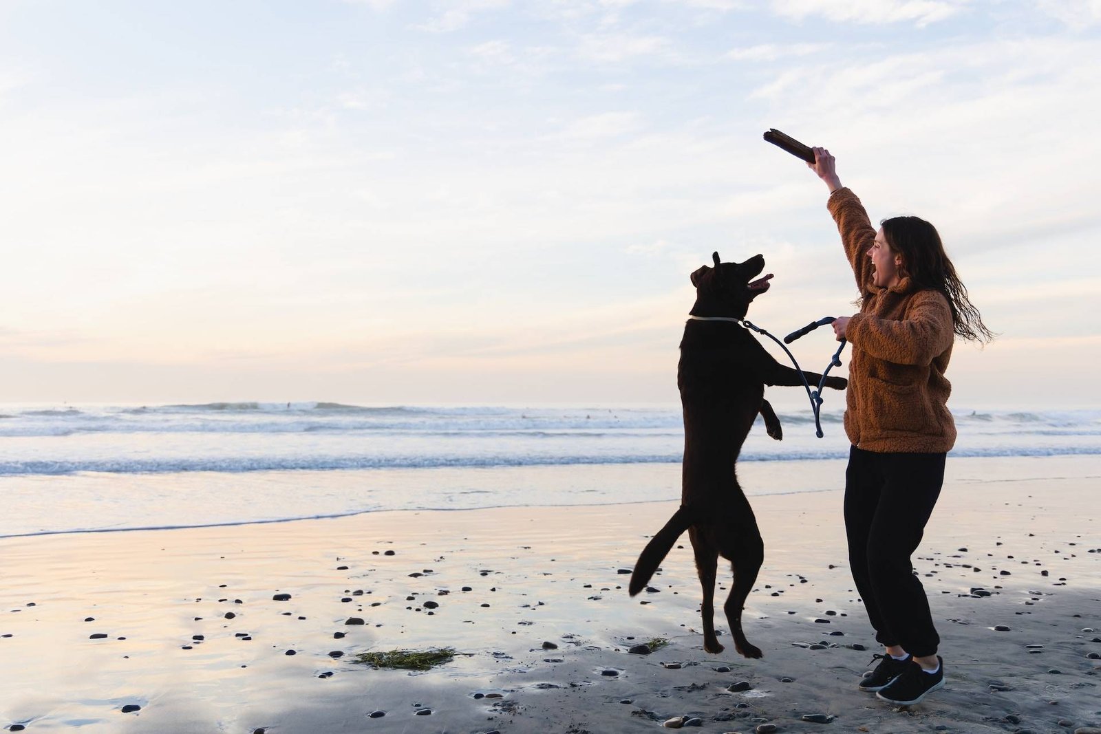 pet-friendly accommodation in Busselton