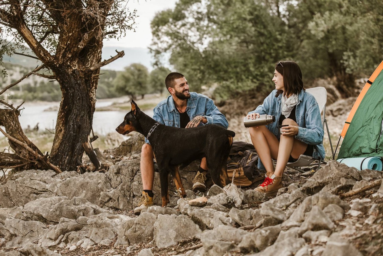 pet-friendly accommodation in Mallacoota