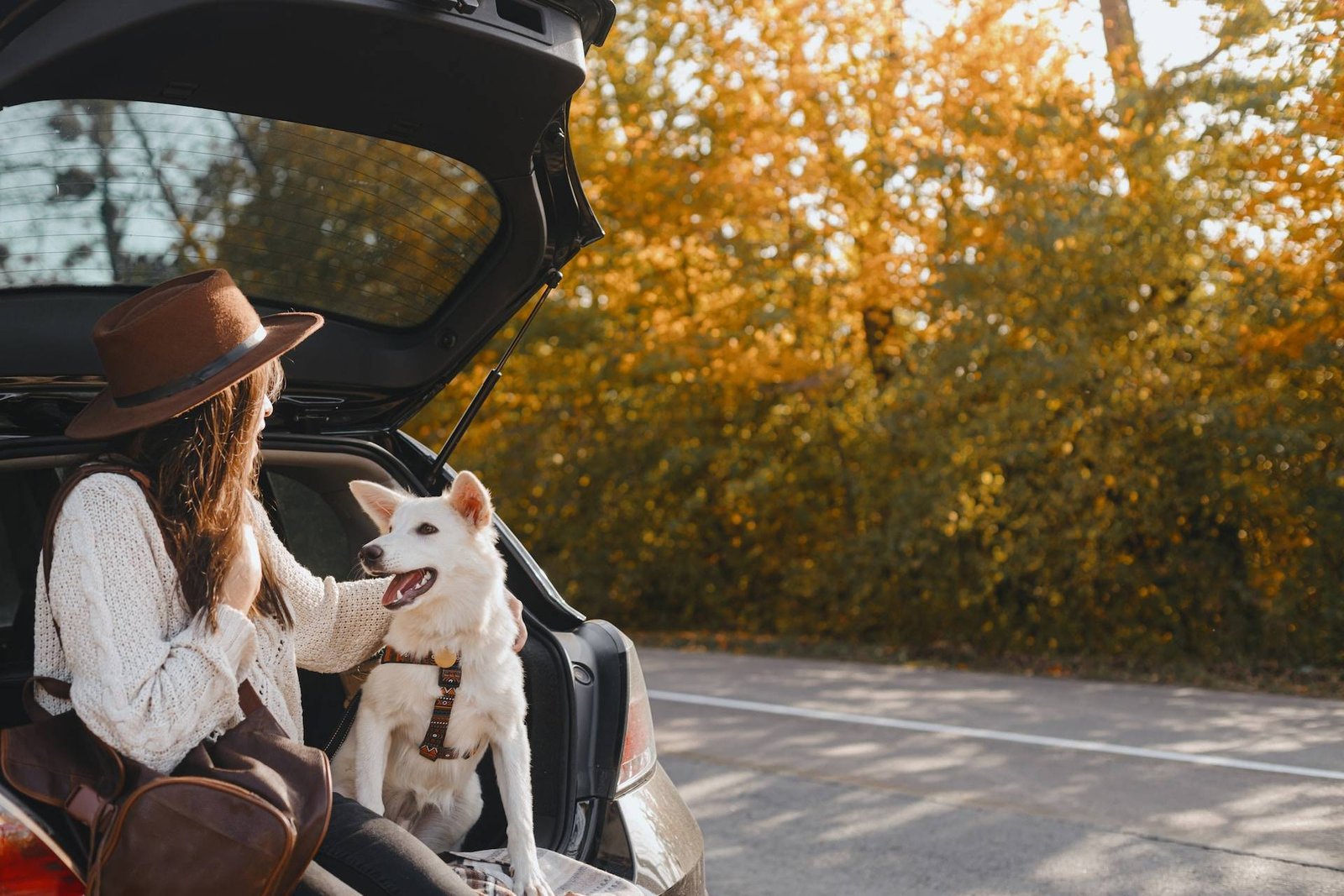 pet-friendly accommodations in Beechworth