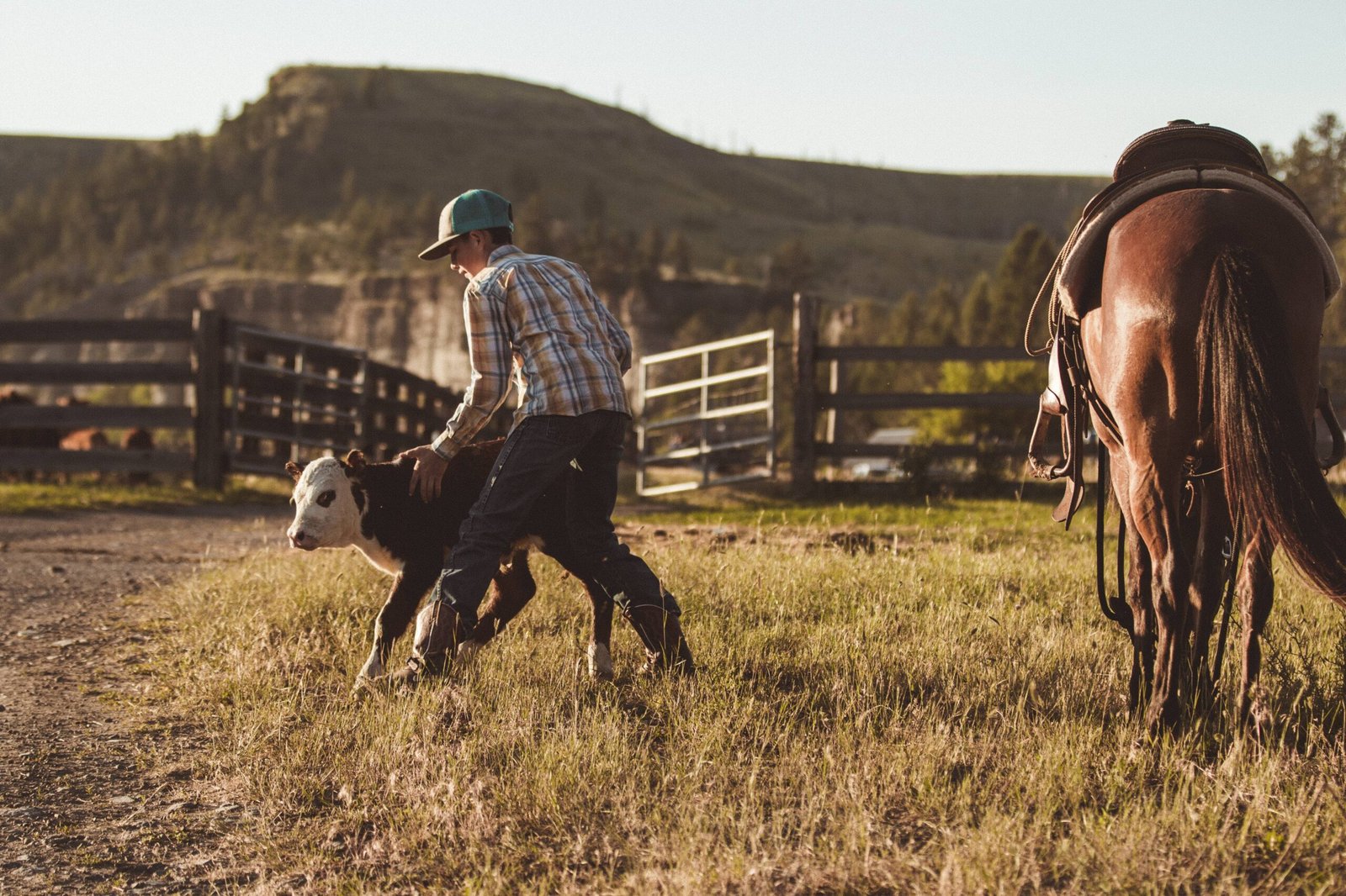 Farm Stays Accommodations in New South Wales