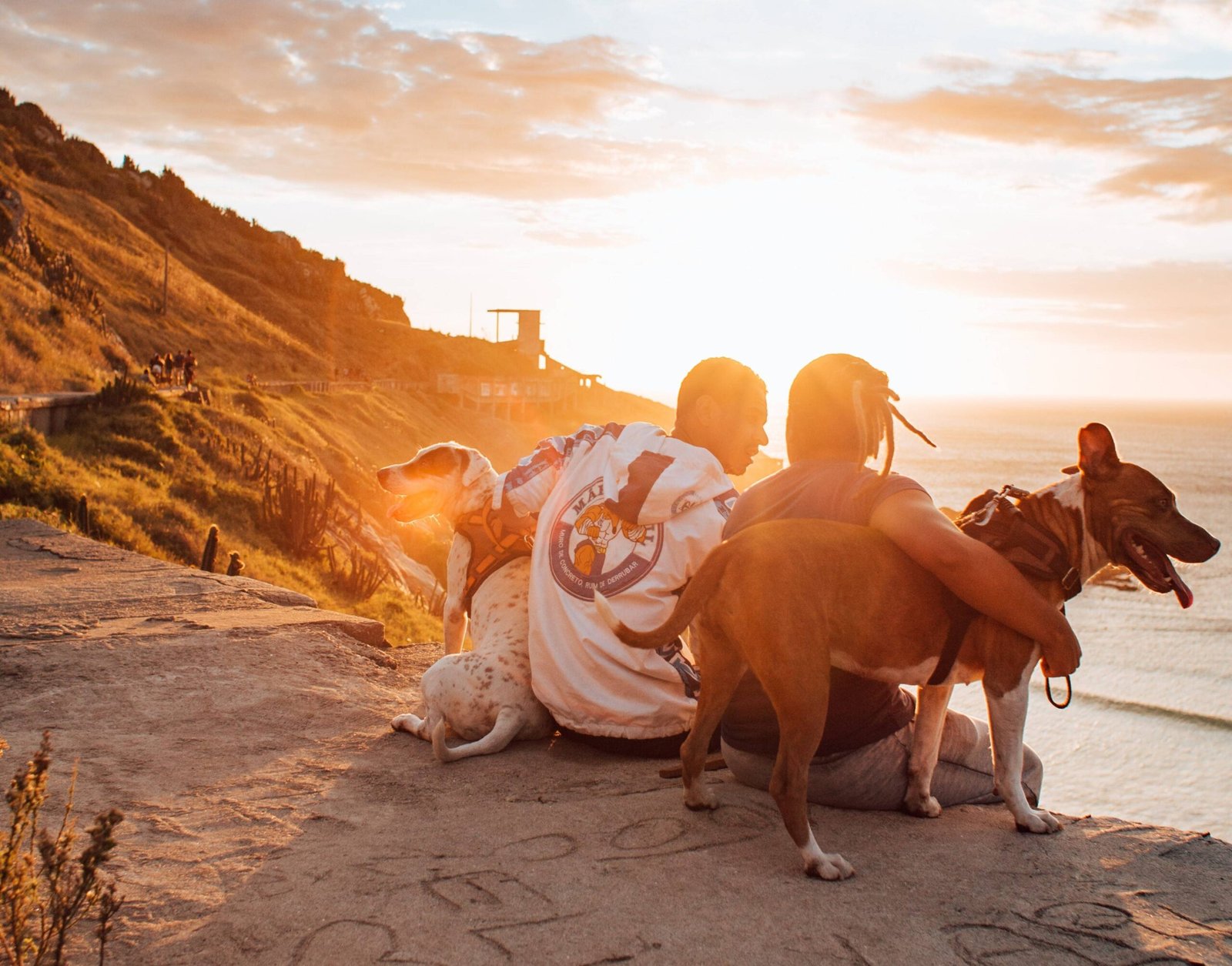 Pet-Friendly Accommodations in Great Ocean Road VIC