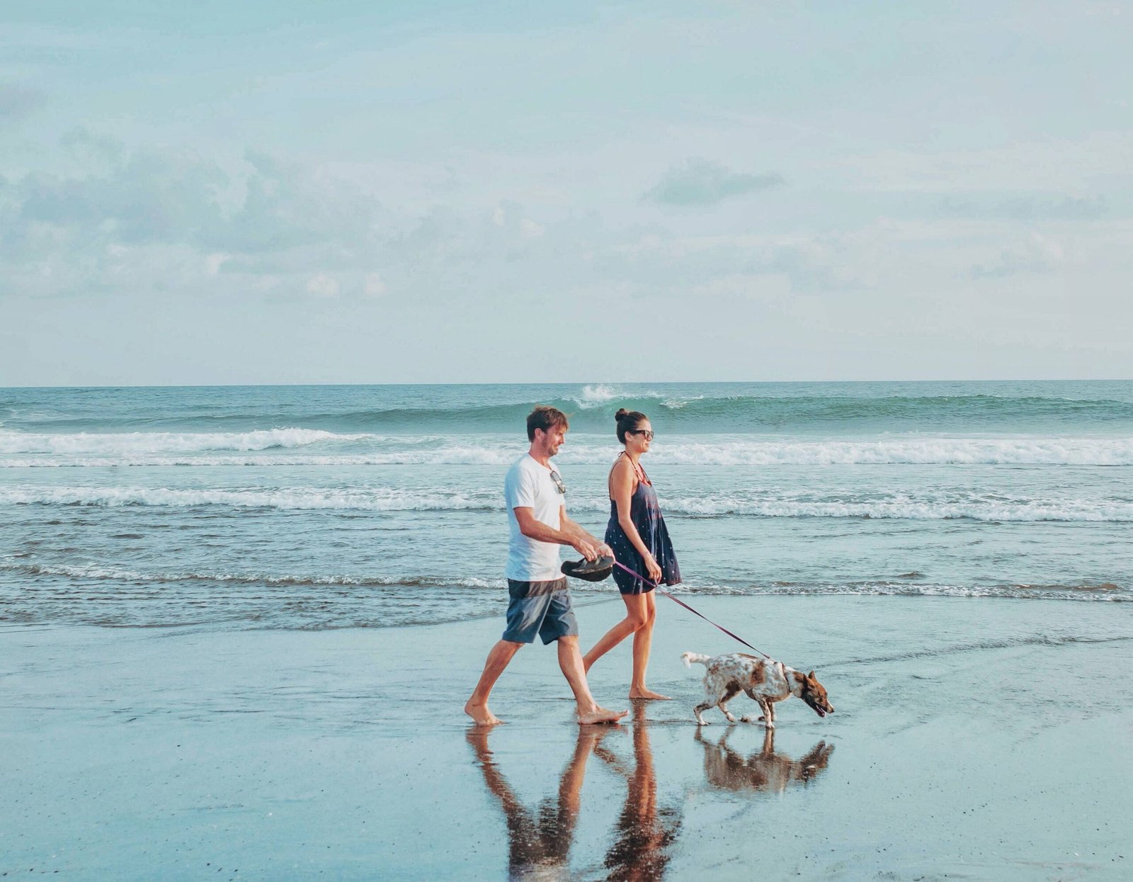 Pet-Friendly Accommodations in Port Stephens NSW