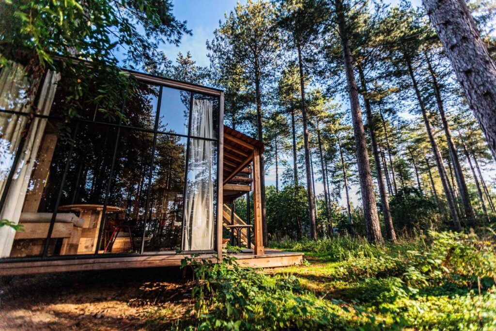 Treehouses Accommodations in Massachusetts