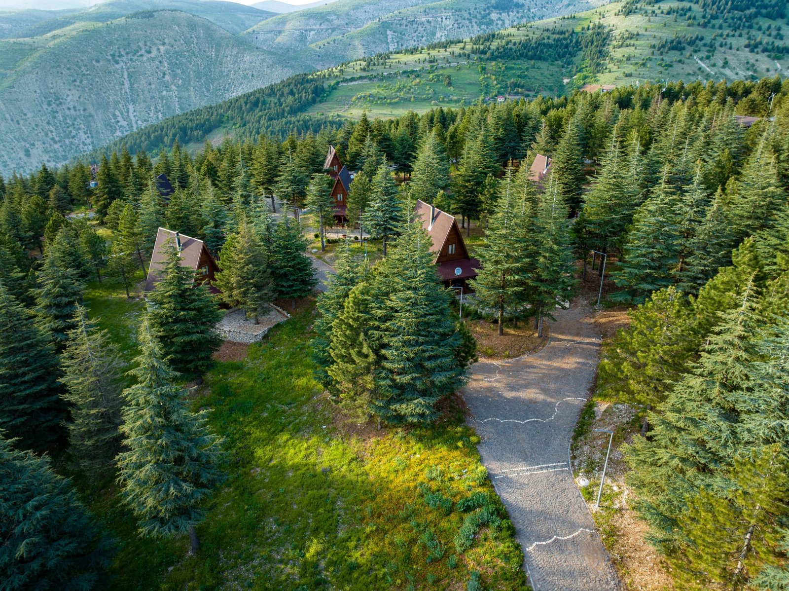 Treehouses Accommodations in Missouri