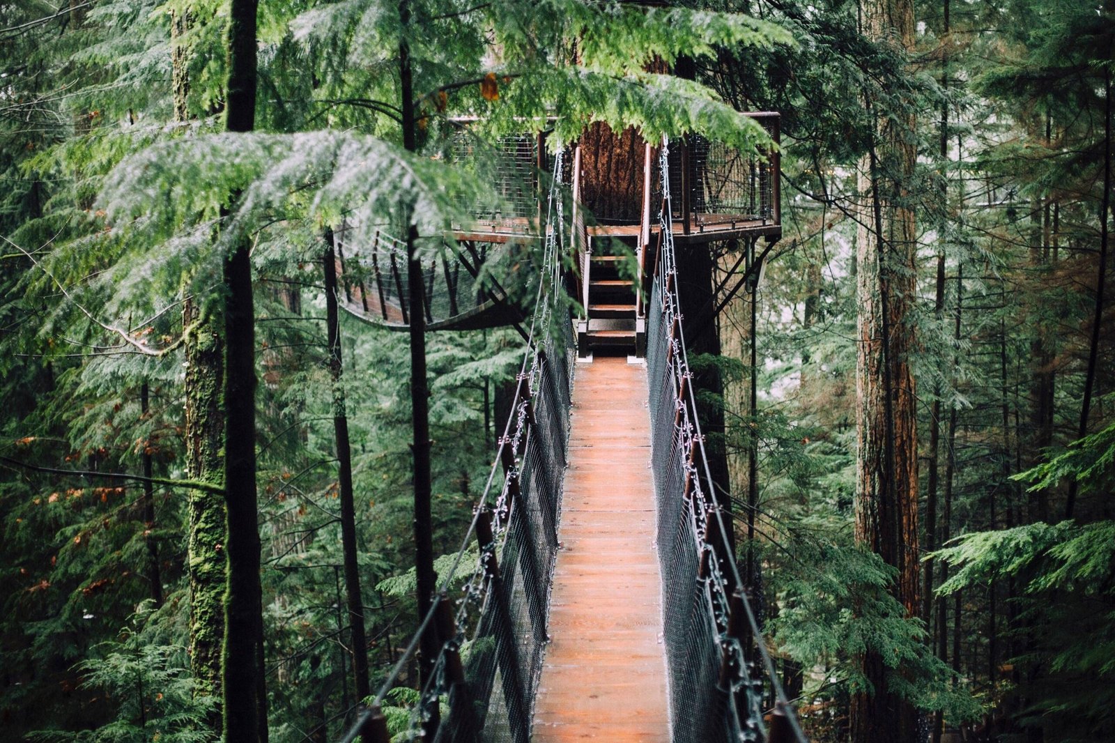 Treehouses Accommodations in Montana