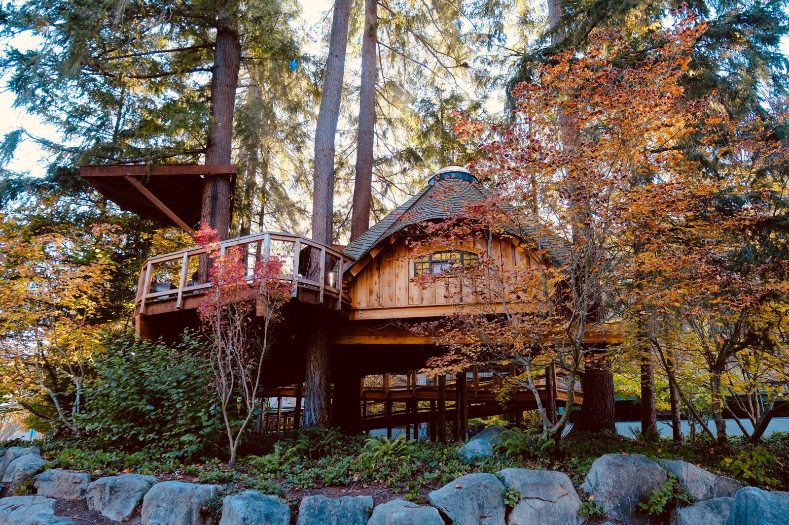 Cabins Accommodations in Cradle Mountain TAS