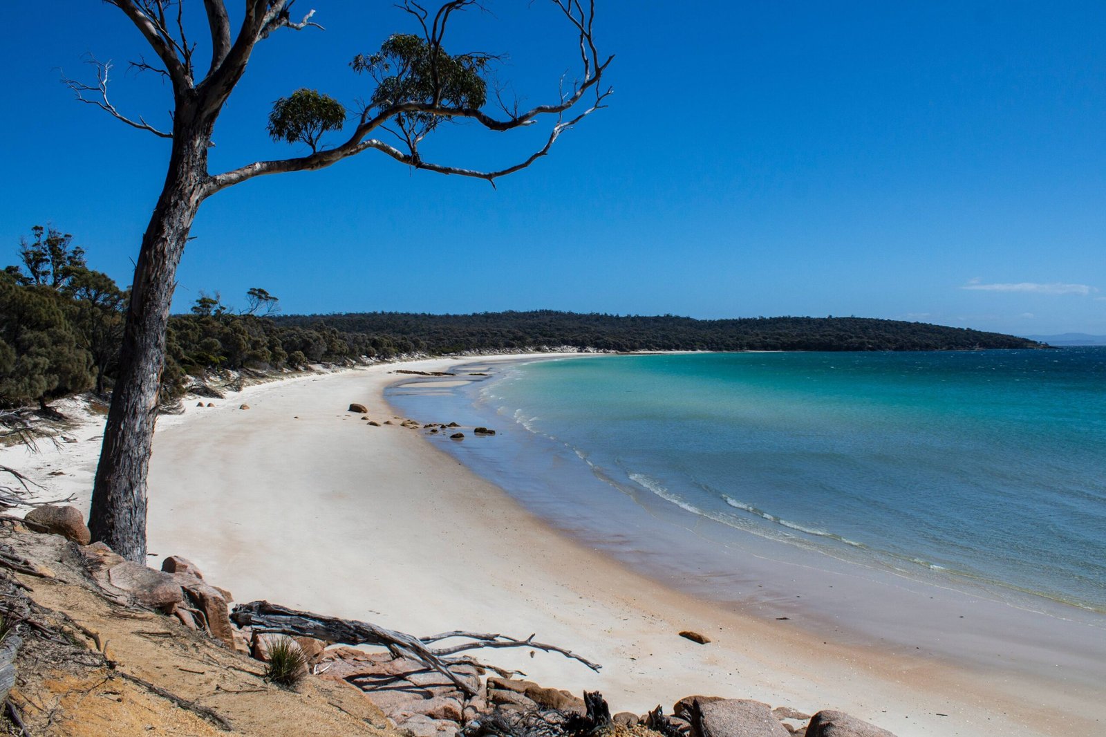 Self-Contained Accommodation in Devonport TAS