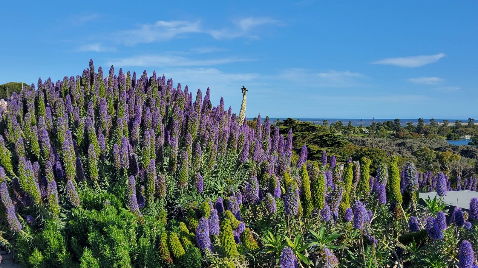 Self-Contained Accommodation in Warrnambool VIC