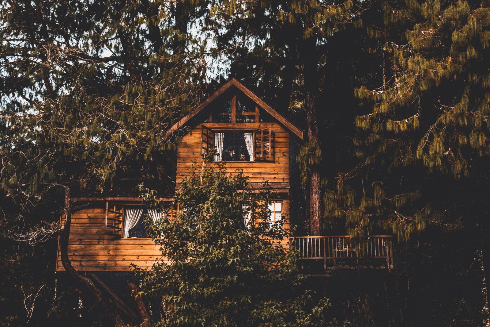 Treehouses Accommodations in Maine